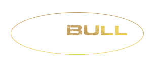 Bullsteroids