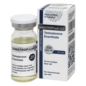 Test Enanthate - 250mg/Vial 10ml - Somatrop
